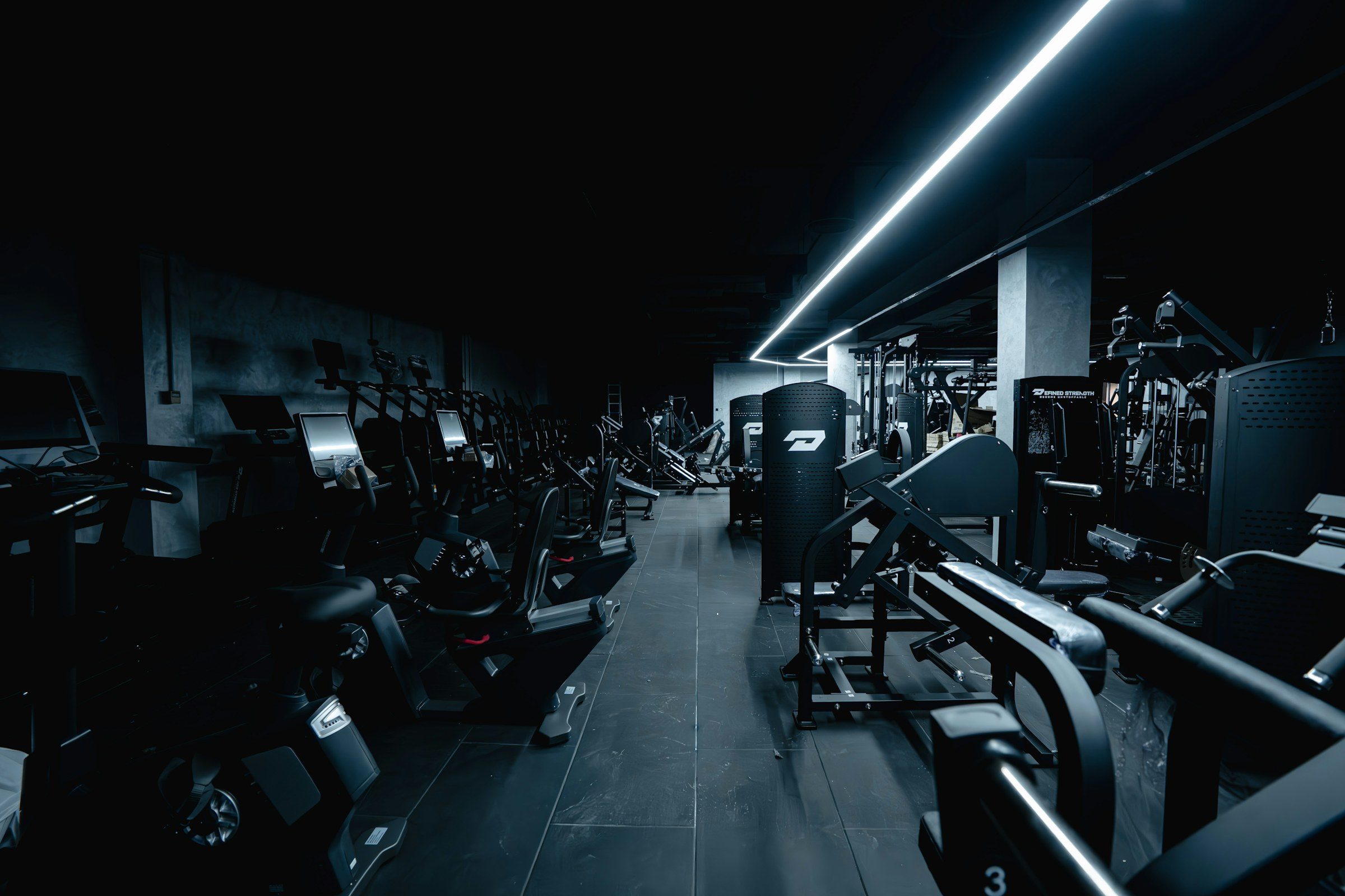 Training at Liger Gym